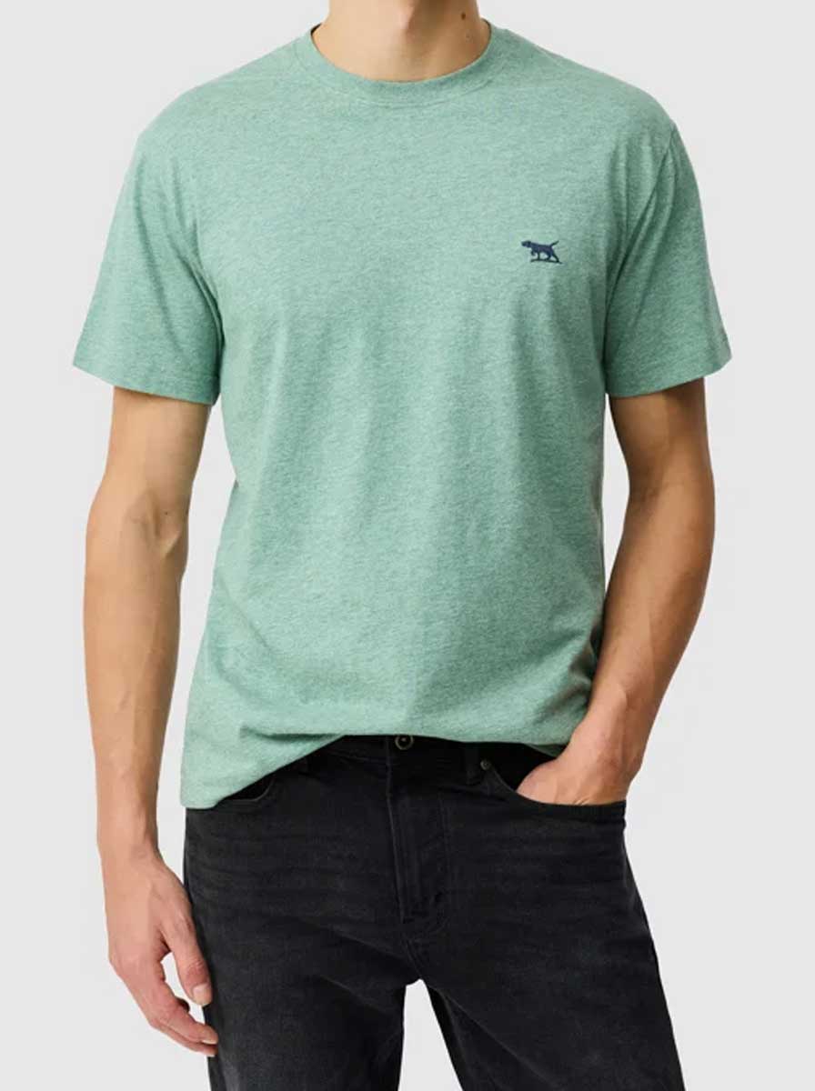 Rodd and Gunn Polo & T-Shirts Rodd & Gunn - "The Gunn T-Shirt" Dusty Sage T-Shirt