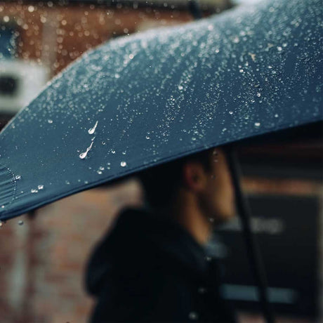 Umbrellas
