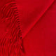 Ascott & Hemley Scarves Ascott & Hemley - Cashmere Red Scarf