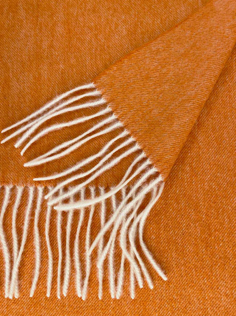 Ascott & Hemley Scarves Ascott & Hemley - Orange Wool/Cashmere Twill Scarf