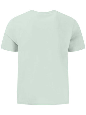 Fynch Hatton Polo & T-Shirts Fynch Hatton - Premium Cotton Mint T-Shirt