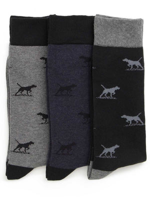 Rodd and Gunn Headwear Rodd & Gunn - Dogs-A-Plenty Three Pack Socks