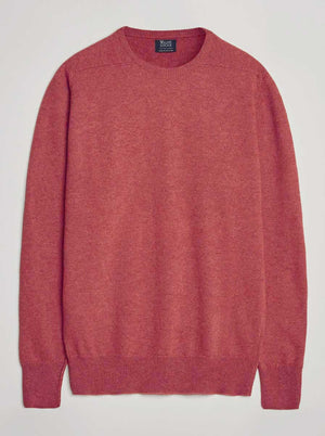 William Lockie Knitwear & Jumpers William Lockie - Knitwear - Cashmere Crew Neck