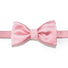 Ascott & Hemley Accessories Silk Bow Tie