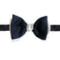 Ascott & Hemley Accessories Silk Bow Tie